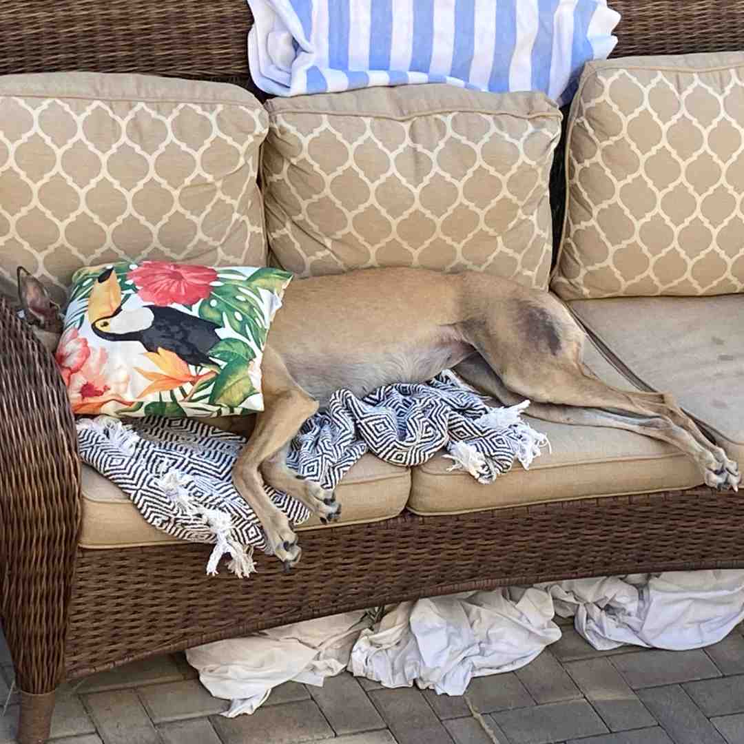 I Don’t Like Mondays