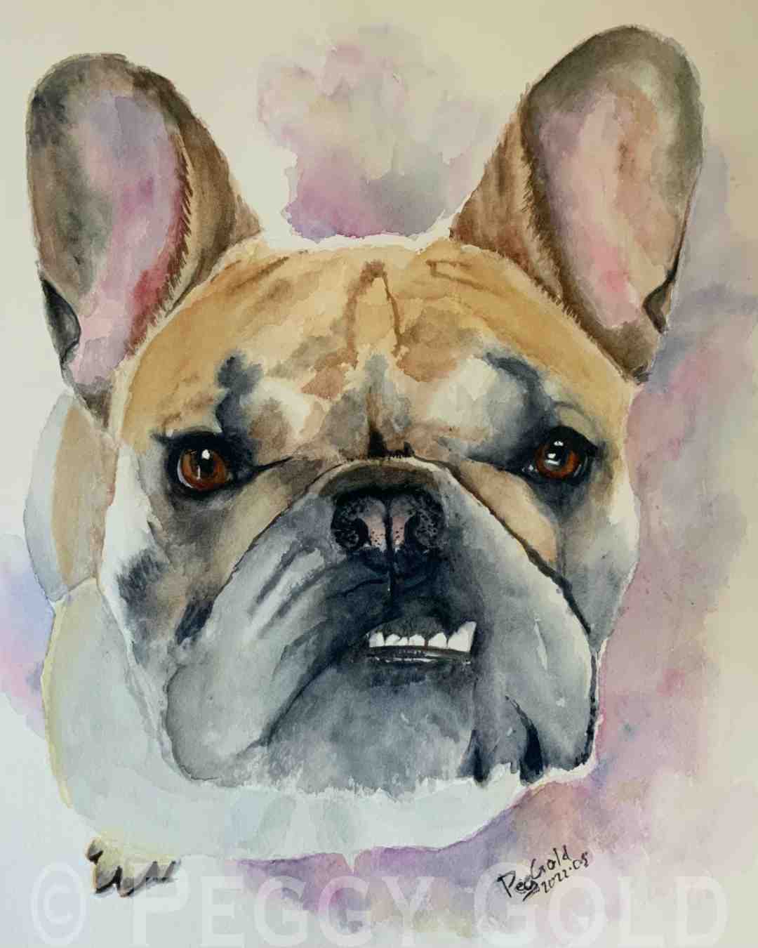 Watercolour painting of a French bulldog 