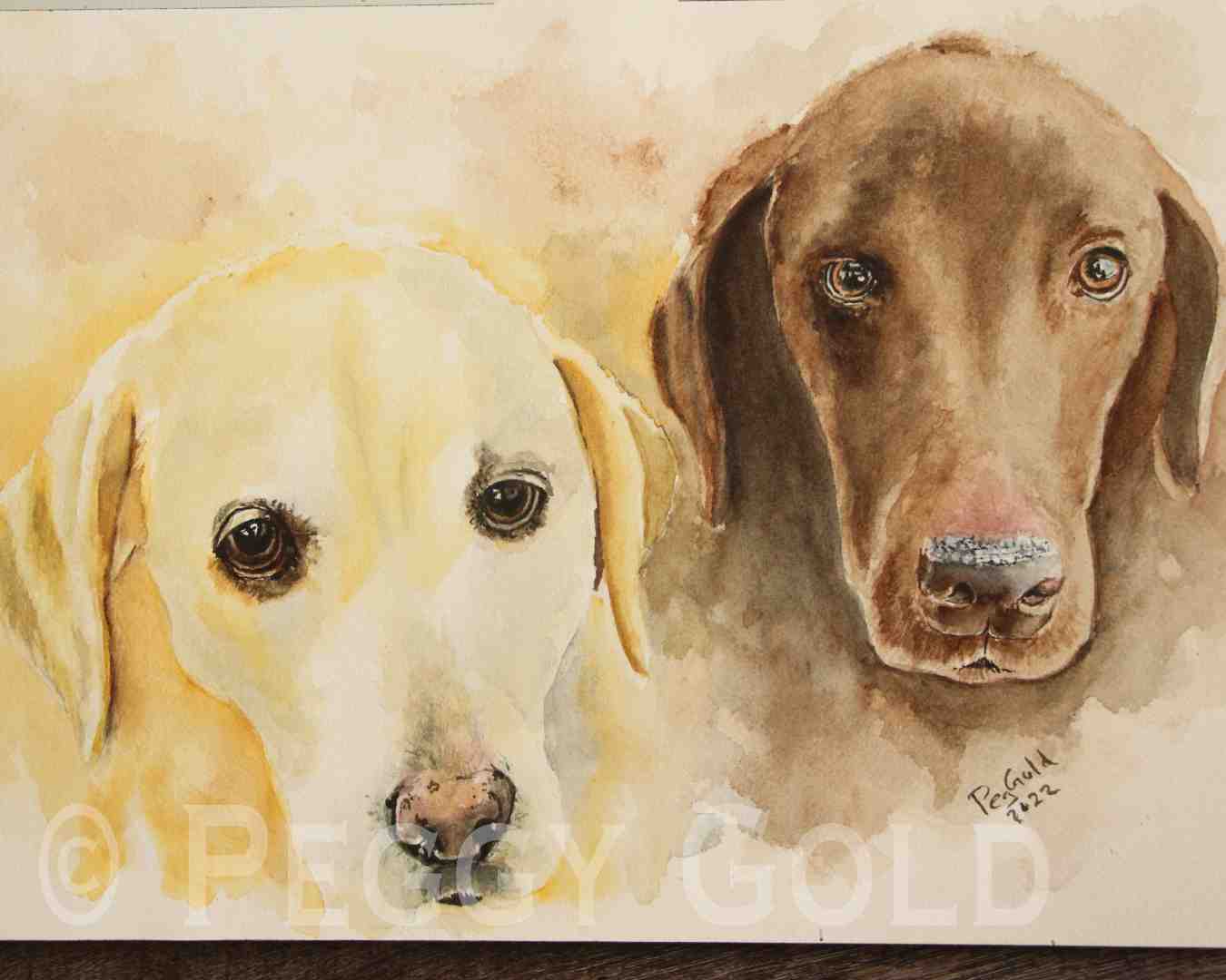 Watercolour painting of a chocolate lab and a yellow lab
