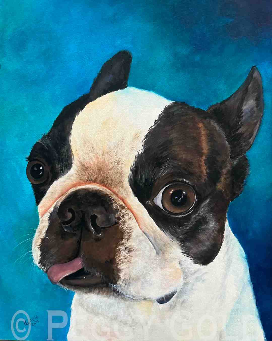 Vibrant pet portrait of a Boston terrier with its tongue sticking out 
