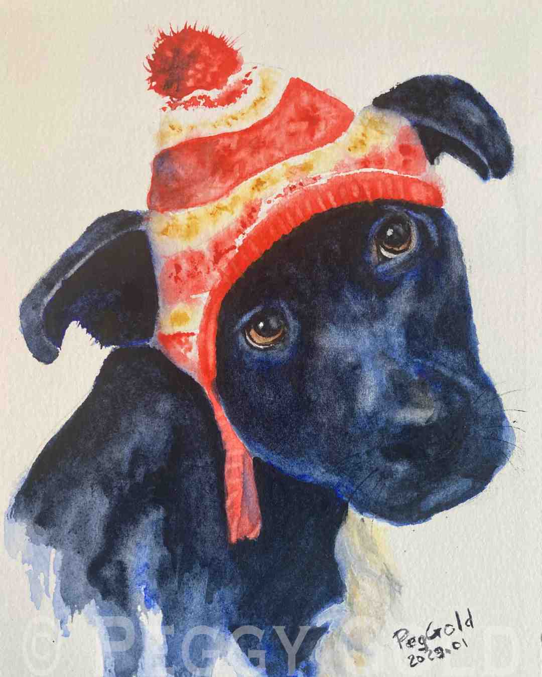Watercolour painting of a cute puppy wearing a toque