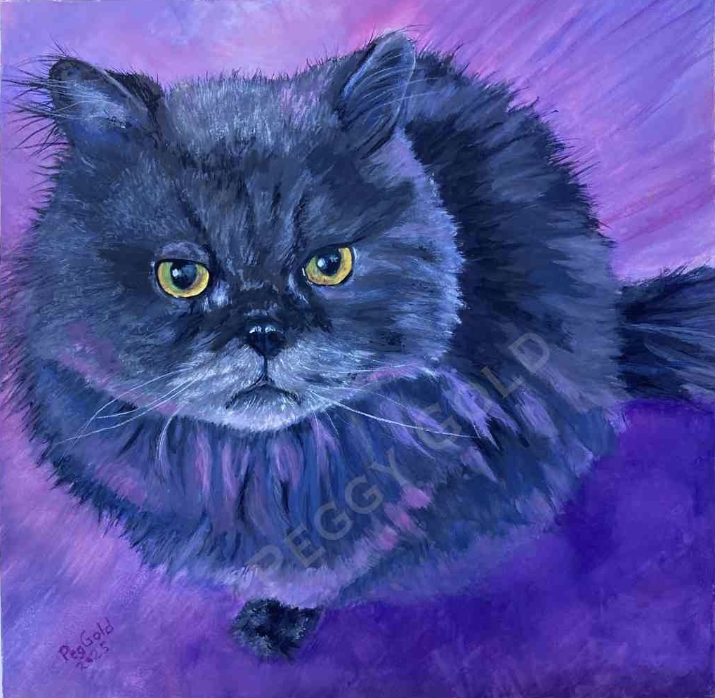 Fluffy realistic kitty pet portrait